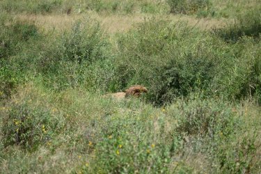 DSC_0715.JPG