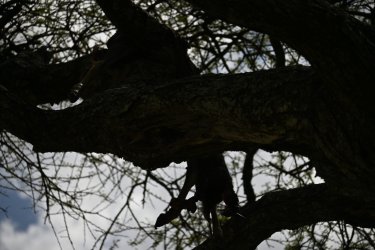 DSC_0713.JPG