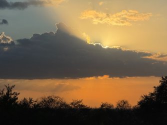 IMG_7087.JPG