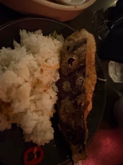 IMG_1089.jpeg