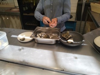 IMG20250617123321.jpg