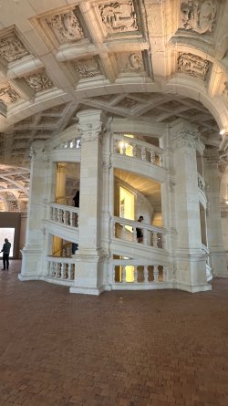 IMG_3271.JPEG