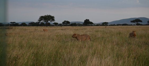 DSC_0728.JPG