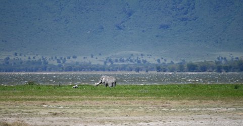 DSC_0755.JPG