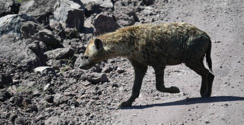 DSC_0758.JPG