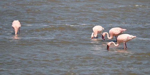 DSC_0763.JPG