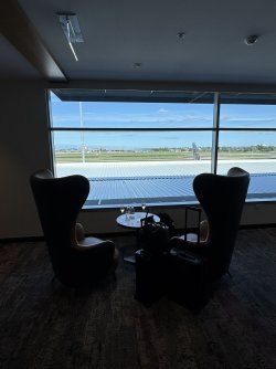 IMG_7485.JPEG