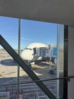 IMG_7504.JPEG