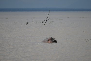 DSC_0836.JPG