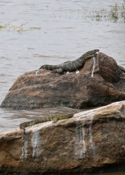 DSC_0850.JPG