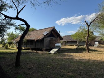 IMG_7252.JPG