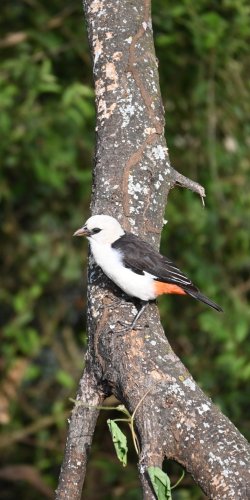 DSC_0857.JPG