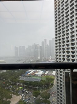 IMG_7588.JPEG
