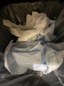 IMG_6018.jpeg