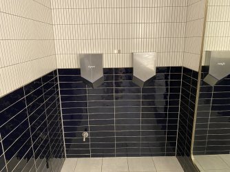 IMG_6017.jpeg