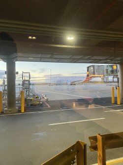 IMG_6430.jpeg