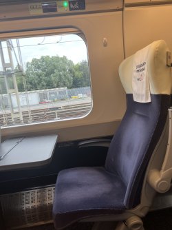 IMG_6575.jpeg