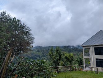 PXL_20250616_100838012.jpg