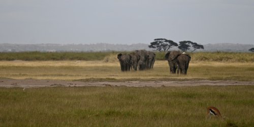 DSC_0930.JPG