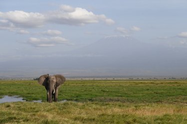 DSC_0961.JPG
