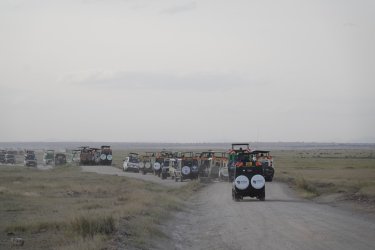 DSC00720.JPG