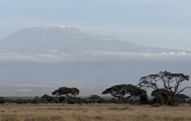 IMG_7442.JPG