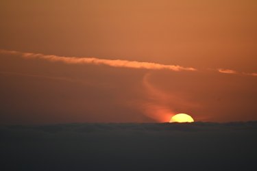 DSC_0977.JPG