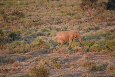 DSC_0985.JPG