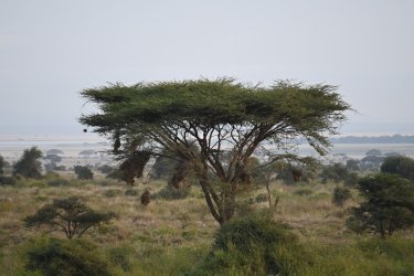DSC_0994.JPG