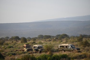 DSC_1011.JPG