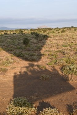 DSC_1012.JPG