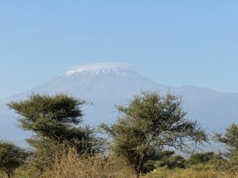 IMG_7619.JPG