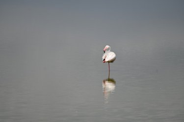 DSC_1041.JPG