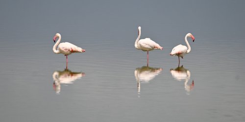 DSC_1043.JPG