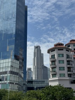 IMG_7692.JPEG