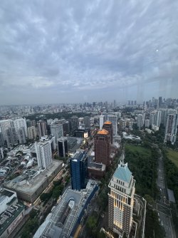 IMG_7712.JPEG