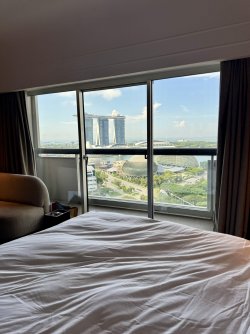 IMG_7731.JPEG