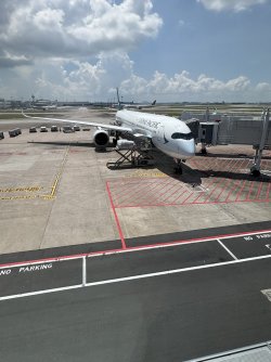 IMG_7753.JPEG