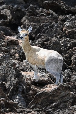 DSC_1054.JPG