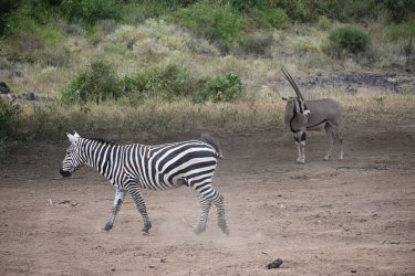 DSC_1060.JPG