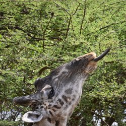 DSC_1062.JPG