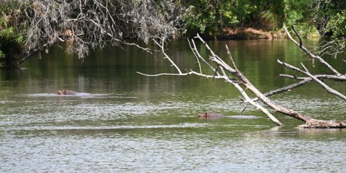 DSC_1070.JPG
