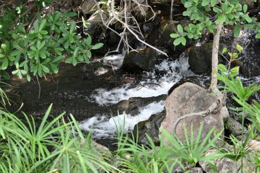 DSC_1077.JPG