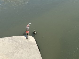IMG_8110.jpeg