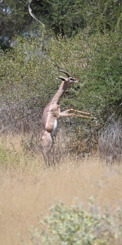 DSC_1097.JPG