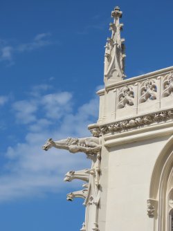 IMG_8960.JPG