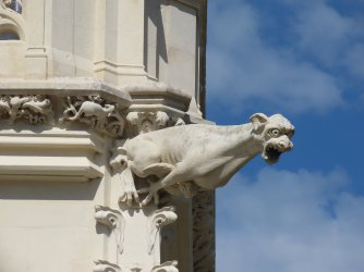 IMG_8961.JPG