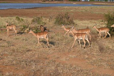 DSC_1112.JPG