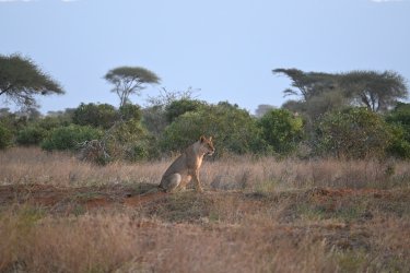 DSC_1117.JPG