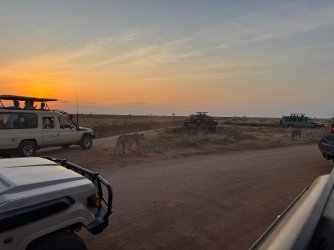 IMG_7811.JPG